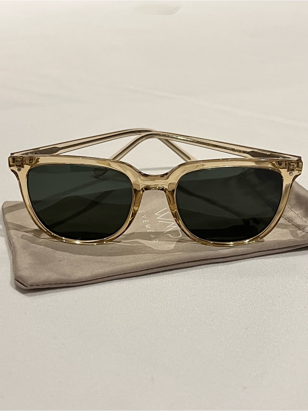 Men's Classic Transparent Beige Frame Sunglasses with Dark Lenses